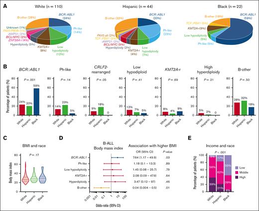 Socioeconomic determinants of ALL biology. (A) Pie charts depicting the frequencies of B-ALL subtypes in patients stratified by race. (B) Bar graphs showing racial distribution of common B-ALL subtypes. (C) Violin plots showing the distribution of BMI in patients with ALL stratified by race. (D) Forest plot showing the OR for the association between B-ALL genetic subtypes and BMI at diagnosis. (E) Bar graph showing the association between median income and race in adult patients with ALL.