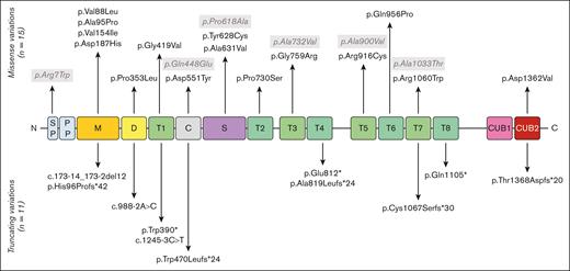 ADAMTS13 sequence variations reported in the 29 cases of pregnancy-onset cTTP. ADAMTS13 consists of several domains: a signal peptide (SP), a propeptide (PP), a metalloprotease domain (M), a disintegrin-like domain (D), a first thrombospondin type-1 repeat (T1), a cysteine-rich domain (C), a spacer domain (S), 7 additional thrombospondin type-1 repeats (T2-T8), and 2 CUB domains. Deleterious sequence variations of the ADAMTS13 gene appear in black whereas single-nucleotide polymorphism (SNPs) appear in gray.