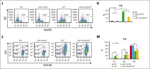 miR-144-Nrf2 regulatory axis plays a partial role in the alleviation of anemia in th3+/− mice. (A) Microarray transcriptome analysis of BM erythroblasts (Ter119+/CD71+/FSCHi) from th3+/− (βhet) and mKO/th3+/− (mKO/βhet) mice. Samples were analyzed for messenger RNA (mRNA) expression using Affymetrix Gene Chips. (B) Gene set enrichment analysis showing that Nrf2-related genes are upregulated in mKO/th3+/− BM erythroblasts compared with that in th3+/− BM erythroblasts. (C) Targetscan nucleotide sequence alignments showing the complementarity of 3' untranslated region (3′UTR) of Nrf2 mRNA and miR-144. There are 2 miR-144–binding sites in both mouse and human Nrf2 mRNAs. (D) Nrf2 mRNA levels in BM erythroblasts from mKO/th3+/− mice quantitated via real-time polymerase chain reaction. Experiments were repeated at least 3 times. (E) Western blot showing Nrf2 protein levels in BM erythroblasts from different groups of mice. Experiments were repeated at least 3 times. (F) Firefly luciferase reporter assay showing the direct binding of miR-144 to Nrf2 mRNA. 3′UTR of Nrf2 (WT) or its mutant version (mut, an 8-base pair replacement within the region complementary to miR-144 seed sequence) were cloned to luciferase reporter construct. Luciferase activities were determined 24 hours after transfection in 293T cells. (G-H) Flow cytometry analysis of the percentages of reticulocytes in peripheral blood from different group of mice. R1 (Ter119+CD71Hi), early-stage reticulocytes; R2 (Ter119+CD71Med), late-stage reticulocytes. (I) Automated hematology analysis revealing more RBCs in miR-144 KO/th3+/− blood and lower RDW in comparison to th3+/− mice. (J-K) Flow cytometry analysis of the percentages of peripheral blood reticulocytes by Retic-count (thiazole orange) reagent. (L-M) Flow cytometry analysis showing the frequencies of peripheral blood reticulocytes from WT, miR-144 KO, th3+/−, and miR-144 KO/th3+/− mice. The percentage of early-stage reticulocytes (R1) declines and mature RBCs (R3) increases in miR-144 KO/th3+/− blood compared with that in th3+/− mice. (I-M) All experiments were repeated at least 3 times. ∗P < .05; ∗∗P < .01. RDW, red cell distribution width; WT, wild-type; PB, peripheral blood; GAPDH, glyceraldehyde-3-phosphate dehydrogenase.