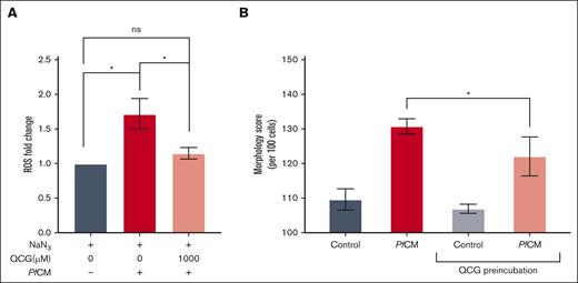 QCG supplementation protects RBCs from PfCM-induced oxidative stress. (A) Fold change of intracellular ROS detected by DCFDA staining and flow cytometry in RBCs (n = 3). (B) The RBC morphology score assessed from scanning electron microscopy images (n = 5). Mean ± standard error of the mean denoted by error bars. One-way paired t test. ns, not significant; ∗P < .05.