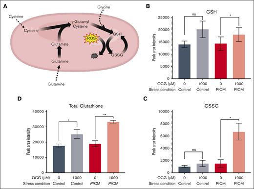 Glutathione metabolic changes in RBCs supplemented with QCG followed by PfCM stress. (A) Schematic of metabolic processes known to occur within RBCs from QCG amino acids. Peak area intensity of (B) GSH, (C) GSSG, and (D) total glutathione, as measured by LC-MS/MS (n = 3). A 1-way paired t test was used to analyze the data. ns, not significant; ∗P < .05; ∗∗P < .005.