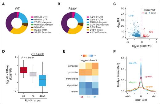 RUNX1R320∗ differential binding is most enriched at enhancer regions. (A-B) Annotation of RUNX1 and RUNX1R320∗ binding sites using the ChIPSeeker annotation of the hg38 genome for all peaks. Wild-type peaks = 40,679; RUNX1R320∗ peaks = 38,233. (C) Differential binding volcano plot between RUNX1 wild-type and RUNX1R320∗ ChIP-seq data sets, significantly upregulated binding shown in (red) and downregulated binding (blue) compared with R320∗/WT. (D) Analysis of gene expression in RUNX1R320∗ cells relative to RUNX1 WT for genes with RUNX1 promoter binding. (E) Enrichment of RUNX1R320∗ peaks genome-wide using ENCODE K562 annotation data across up, nc (no change), and downregulated binding relative to RUNX1 WT. H3K27ac, H3K4me1, H3K4me3, H3K27me3, and H3K9me3 were used to annotate the enhancers, promoters, transcribed regions, repressed regions, and heterochromatin, respectively. (F) RUNX1 motif presence across enhancers and promoters with up- or downregulated binding of RUNX1R320∗ relative to RUNX1.