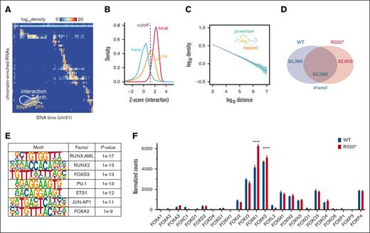 GRID-seq reveals extensive remodeling of enhancer-promoter connections in RUNX1R320∗ cells. (A) Representative heat map of the GRID-seq data set detecting RNA association with DNA regions across chromosome 21, only interactions within chromosome 21 are shown. (B) Z-score of detected RNA-DNA interactions classified as local, cis, and trans. Local interactions represent nascent RNA interactions with the gene body, cis interactions are within the same chromosome and outside the gene body region, and trans interactions are interchromosomal. (C) RNA-DNA interaction density across distance after log transformation, demonstrating the power law model of DNA looping and interaction described by Lieberman-Aiden et al (D) Enhancer-promoter interactions identified solely in either RUNX1 wild-type (WT) or RUNX1R320∗ (R320∗) cells or present in both (shared), as detected by GRID-seq. (E) Motif analysis of RUNX1R320∗ regulated enhancer and promoter regions in (D) selected significantly enriched motifs shown. (F) Normalized read counts of forkhead box gene expression in K562 RUNX1 wild-type and RUNX1R320∗ cells via RNA-seq. Each bar represents the mean of 3 replicates and standard deviation. FOXK1 and FOXK2 subfamilies were measured against the remaining FOX subfamilies using 1-way ANOVA. ∗ P ≤ .05; ∗∗ P ≤ .01; ∗∗∗ P ≤ .001; ∗∗∗∗ P ≤ .0001.