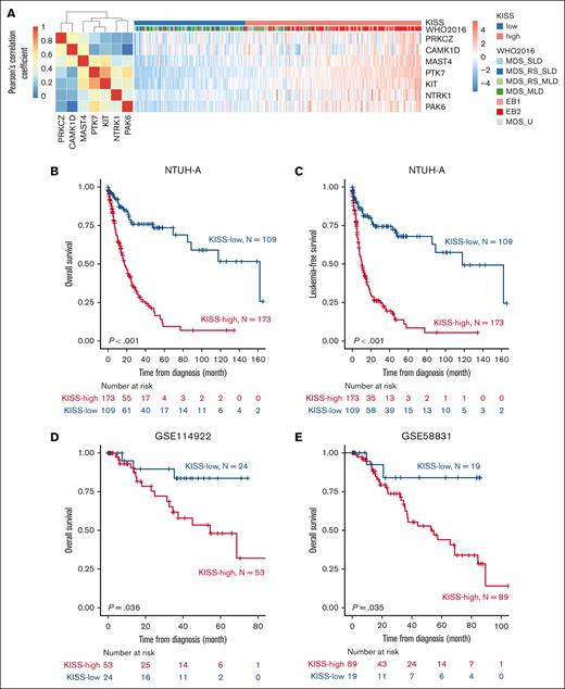 Establishment of the KISS for MDS risk stratification. (A) Pearson correlation matrix of the 7 kinases selected into the KISS model, and heat map illustrating the normalized expression of the kinases, across the patients in the NTUH-A cohort. Patients with higher-risk MDS (EB1 and EB2) were notably clustered within the KISS-high subgroup. OS (B) and LFS (C) of patients with MDS in the NTUH-A cohort, stratified by the KISS. (D) OS of patients with MDS in the GSE114922 data set, stratified by the KISS. (E) OS of patients with MDS in the GSE58831 data set, stratified by the KISS.