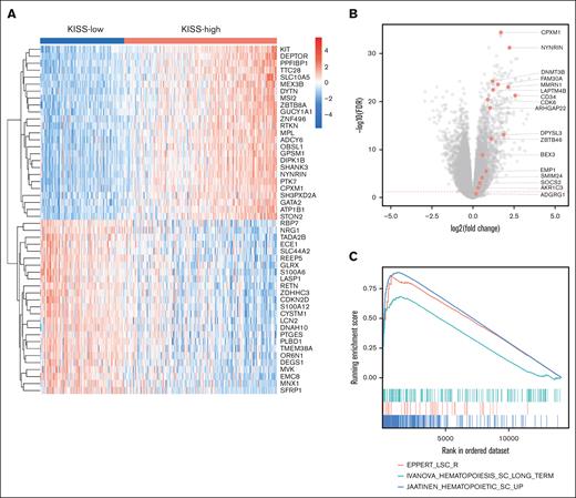 Functional analysis of KISS-high vs KISS-low patients with MDS. (A) Heat map illustrating the most significant DE genes (25 most upregulated and 25 most downregulated genes). (B) The LSC17 genes were significantly upregulated in the KISS-high subgroup. (C) GSEA highlighted the enrichment of HSC and LSC-associated gene sets in the KISS-high subgroup. GSEA, gene set enrichment analysis.