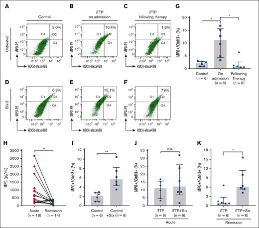 Flow cytometric detection of NETosis in whole blood from patients with iTTP and non-TTP controls. (A-C) The gating profiles and percentage of H3Cit+MPO+ neutrophils (Q2) in unstimulated samples from non-TTP controls, patients with acute iTTP on admission, and those following therapy, respectively. (D-F) The gating profile and percentage of H3Cit+MPO+ neutrophils (Q2) in Stx-2-stimulated blood samples from non-TTP controls, patients with iTTP on admission, and patients with iTTP following therapy, respectively. (G) Quantitation and statistical analysis of H3Cit+MPO+ neutrophils in unstimulated neutrophil collected from control, iTTP on admission, and iTTP after therapy. (H) Individual plasma MPO level in patients with acute iTTP and during remission. (I-K) (paired t test). The effects of Stx-2 on the percentage of H3Cit+MPO+ neutrophils in non-TTP controls, patients with iTTP on admission, and those following therapy, respectively. Kruskal-Willis test was performed in panel A and Mann-Whitney test in panels I-K. The data shown are individual values (dots), median (bar), and interquartile range (IQR) (G-K). n.s., ∗, and ∗∗ indicates P > 0.05, P < 0.05, and P < 0.01, respectively.