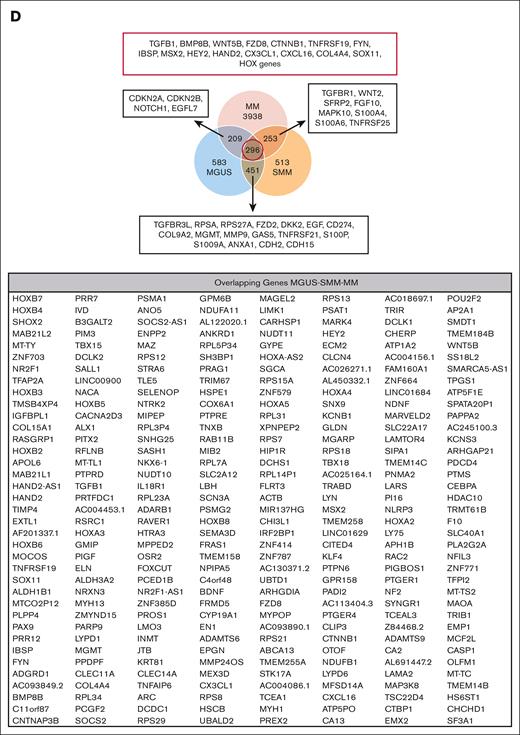 RNA sequencing analysis of MSCs derived from patients with MGUS, SMM, and MM revealed a genetic signature in the respectively stages. (A) Patient characteristics of included samples in RNA sequencing analysis. Table shows clinical parameters including prestages and/or progression status of MGUS (n = 4), SMM (n = 4), and MM (n = 5) samples in comparison to healthy (n = 5) samples. (B) Principal component analysis of MGUS, SMM and MM MSC. PC1 vs PC3 is shown. Green squares depict healthy MSC, dark blue squares depict MGUS MSC, light blue squares depict SMM MSC, and red squares depict MM MSC. (C) Venn diagrams of all differentially expressed genes, unique genes, and overlapping genes (FDR q-value ≤ 0.05) between the groups to be compared. (D) Top: graphical summary of representative overlapping genes from all 3 groups and between the groups to be compared. Several genes from that total overlap such as TGFB1, BMP8B, or WNT5B are represented by red framing. Unique overlapping genetic signature between MGUS and SMM MSC (such as TGFBR3L, RPSA or RPS27A) or the unique overlapping genetic signature between MGUS and MM (such as CDKN2A, CDKN2B) or between SMM and MM MSC (such as TGFR1, WNT2 or SFRP2) are represented by black framing. Bottom: graph table of the overlapping 296 differentially expressed genes by contrasting MGUS, SMM and MM MSC (FDR q-value ≤ 0.05).