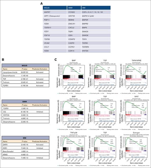 Ingenuity pathway analysis and GSEA in MSC from patients with MGUS, SMM and MM revealed a unique genetic signature in MSC transition. (A) Table overview of unique differentially expressed genes from DESeq2 output such as MAPK7, SPP1 or FGF11 in MGUS MSC, CCND2, WNT7B or SESN2 in SMM MSC as well as several CDK's, MAPK14 or BMP2K in MM MSC within the comparison of all 3 groups (FDR q-value ≤0.05). (B) Ingenuity pathway analysis predicted the top 5 most probable upstream regulators in MGUS, SMM and MM MSC. (C) GSEA contrasting healthy samples to MGUS, SMM and MM samples. The results confirmed a strong enrichment for the BMP/TGFB-signaling pathway signature. Neither TNFA/NFKB nor WNT are strongly enriched. MM MSC to healthy MSC confirmed a strong enrichment of a gene set also for TNF/p38 and Estrogen signaling signature. For all plots, the normalized enrichment score, P-values and (FDR q-value) are given.