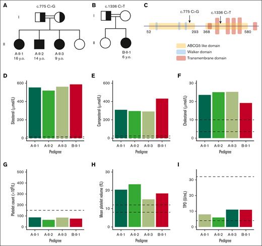 Patients’ genetics and hematologic characteristics before treatment. (A-B) Family pedigrees: double line shows a consanguineous union; filled symbol, affected individuals; half-filled symbols, heterozygous unaffected carrier; open symbols, not affected. (A) Pedigree A with propositus A-II-1, A-II-2, and A-II-3. (B) Pedigree B with propositus B-II-1. (C) Molecular annotation of the ABCG5 variants reported here. (D-F) Sterol levels in plasma. (D) Sitosterol. (E) Campesterol. (F) Cholestanol. (G) Platelet count. (H) Mean platelet volume. (I) Thrombopoietin (TPO). Dotted lines show the normal plasma parameters.