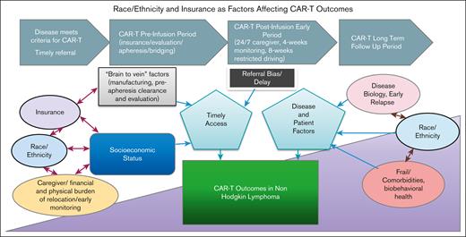 Race/ethnicity and insurance as factors affecting CAR-T outcomes. This diagram depicts the complex interplay between multiple factors including race/ethnicity and insurance status, which contribute to access to therapy and posttreatment outcomes.