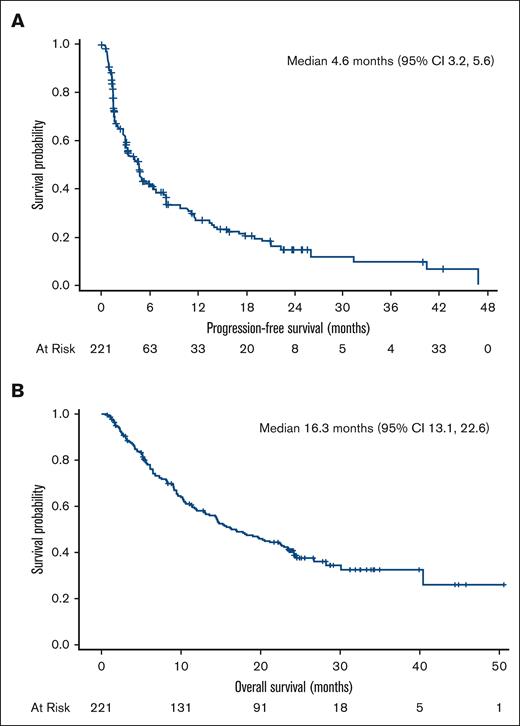 Kaplan-Meier plots of PFS (A) and OS (B).