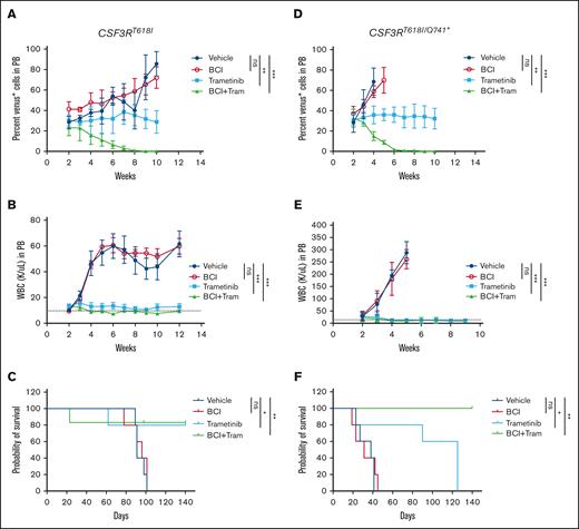 BCI in combination with trametinib eradicated the leukemic clones and cured the leukemic mice. (A-C) Mice that received transplantation with wild-type Kit+ cells expressing CSF3RT618I treated with BCI and trametinib alone or in combination. Graphs showing the percent venus-positive cells as a surrogate leukemic burden (A), total WBC levels (B), and survival (C). (D-F) Mice that received transplantation with compound mutation treated with BCI and trametinib alone or in combination. Graphs showing the percent venus-positive cells as a surrogate leukemic burden (D), total WBC level (E), and survival (F). Treatment with trametinib suppresses leukemia but lacked clonal selectivity resulting to cytostatic response. Treatment with BCI lacked both antileukemic response and clonal selectivity. However, a combination of trametinib and BCI not only suppressed the WBC levels but also effectively eradicated the leukemic clones, resulting in cure in both models of CSF3R-induced leukemia. Representative data are from 2 independent experiments (3 mice per group), shown as the means ± SD. ∗P < .05; ∗∗P < .01; and ∗∗∗P < .001.