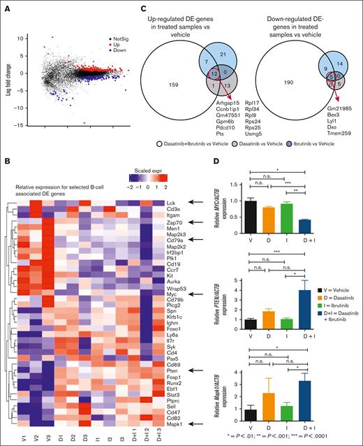 RNAseq of E2A-PBX1+/preBCR+ leukemia CNS-infiltrating cells compared across treatments. Bulk RNA sequencing of FACS-sorted CNS-infiltration E2A-PBX1-GFP+ leukemic cells from vehicle- (n = 3), dasatinib- (n = 3), ibrutinib- (n = 3), and dasatinib + ibrutinib–treated mice (n = 3) was performed. (A) MA plot displaying 349 most significant genes (P < .05) between all the treatments. (B) Heat map showing BCR–associated differential expressed (DE) genes. Myc (P = .06) is downregulated in the double-treated mice compared with vehicle-treated mice. A trend for decreased expression of BCR-associated genes Lck, Zap70, and Cd79a showed a trend for decreased expression under the treatment with BTKi alone or in combination with dasatinib. In contrast, Pten (P < .05) and Mapk1/ERK2 (P < .05) are upregulated in the double-treated mice compared with vehicle-treated mice. (C) Venn diagrams showing the most significant in-common up- and downregulated genes between the treatments. (D) Validation of Pten, Myc, and Mapk1 genes by RT-qPCR. Actb was used as a housekeeping gene. The experiment was performed in triplicate. Bars represent the mean and error bars, the SEM, of 3 independent experiments.
