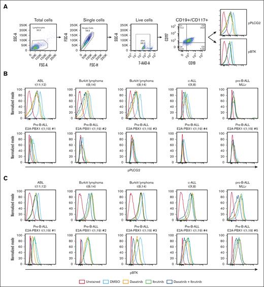 In vitro effect of combined therapy with dasatinib and BTKi on primary ALL samples. (A) Flow cytometric analysis of primary samples aiming to detect the phosphorylation status of PLCG2 and BTK after 30 minutes of treatment with vehicle (DMSO), dasatinib, ibrutinib, and dasatinib + ibrutinib. Gating strategy on lymphocytes, single cells, 7AAD, CD19+, and CD117+. One representative histogram per antibody is showed. (B-C) Histogram represents the phosphorylation of (B) PLCG2 and (C) BTK in primary ALL samples with different karyotypes, after treatment with vehicle, ibrutinib, dasatinib, and dasatinib + ibrutinib treatment.