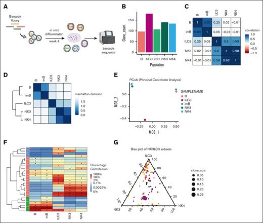 Establishing clonal relationship between NK cell developmental stages by DNA barcode tracing. (A) Schematic summary of experimental outline: Lin−CD34+ cells transduced with barcode libraries were allowed for in vitro differentiation for 4 weeks followed by barcode recovery from generated progeny through sequencing. (B) Bar graph represents total number of unique clones recovered for each sorted populations after culture. (C) Matrix of Pearson correlations of clonal composition between samples. (D) Correlation plot with dendrogram by Manhattan distance of clonal composition between samples. (E) Principal coordinate analysis displayed variability for overall clonal content in each sample. (F) Heat map illustrates the distribution of the proportions of the top 10 clones recovered from each sample. (G) Triangular plot of clonal bias distribution between CD56+ subsets. Each clone is placed according to its generated proportions between 3 populations (NK3, NK4, and ILC3), and clone size is determined by its contribution in the total clones obtained within 1 experiment. Results from 1 representative experiment.
