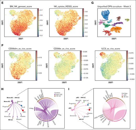 Single-cell transcriptomic analysis of in vitro–generated CD56 subsets uncovered diverging NK cell and ILC3 signatures highly resembling primary ILC profiles. (A) Schematic summary of experimental outline: cells generated in vitro from Lin−CD34+ progenitors after 4-week culture were column-purified for CD56+ cells and subjected to scRNA-seq. (B) UMAP obtained from scRNA-seq data displayed CD56+ cells (cluster 0-5 and cluster 8) and other non-ILC clusters. (C) Violin plots of expression levels of NK cell receptor transcripts (top) and ILC3 associated transcripts (bottom) among CD56+ clusters. Statistical significance was performed with Kruskal-Wallis test between pairwise comparisons cluster 4 against the remaining clusters (top panels), or cluster 5 against the remaining clusters (bottom panels); ∗P < .05; ∗∗P < .01; ∗∗∗P < .001; ∗∗∗∗P < .0001; and n.s. not significant. (D) Dot plots showing percentage (as size) and expression level (as color scale) of cytotoxic genes (top) and ILC3-specific genes (bottom) among cells within CD56+ clusters. (E) Enrichment score for “human primary bone marrow” gene set from MSigDB database (left) and “NK cell–mediated cytotoxicity” from KEGG pathway (right) across single cells within CD56+ clusters. (F) Enrichment score for custom gene modules derived from bulk RNA-seq data from Collins et al,28 of ex vivo CD56dim and CD56br circulating NK cells, and tonsil-derived ILC3 across single cells within CD56+ clusters. (G) UMAP obtained from scRNA-seq data displayed cell clusters generated in 2-week in vitro cultures. (H-I) Circle plots depicted cell–cell interactions from Mono-DC (H) and pDC (I) cluster toward NK-ILC cluster, in which projected chord diagrams shown top 5 pairs of ligand-receptor for these cell interactions inferred from CellChat analysis. pDC, plasmacytoid dendritic cell.