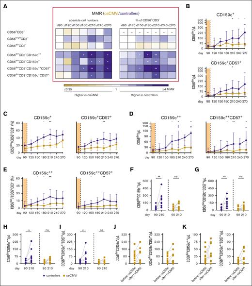Higher numbers and frequencies of NK cells and “memory-like” NK cells are associated with HCMV control in alloSCT recipients after discontinuation of letermovir. NK-cell reconstitution was compared in alloSCT recipients who controlled HCMV (controllers, blue) and those with csCMVi (brown). (A) Heat map comparing the MMRs (csCMVi/controllers) of selected NK-cell populations between the 2 cohorts. (B-E) Median absolute numbers (B) and frequencies (C) of CD56dimCD159c+(CD57+) cells as well as numbers (D) and frequencies (E) of CD56dimCD159c++ (CD57+) cells are shown. (A-E) Mann-Whitney U test and Benjamini-Hochberg procedure to test for a FDR of <0.2. Significant results with an FDR >0.2 are indicated by the gray stars. (F-I) Individual numbers of (F) CD56dimCD159c+, (G) CD56dimCD159c+CD57+, (H) CD56dimCD159c++, (I) CD56dimCD159c++CD57+ on day +90 and day +210 are shown. (J,K) Individual absolute numbers of (J) CD56dimCD159c+ and CD56dimCD159c+CD57+ as well as (K) CD56dimCD159c++ and CD56dimCD159c++CD57+ before and after csCMVi are displayed. (F-K) ∗P < .05, ∗∗P < .01 using paired Wilcoxon test. CD, cluster of differentiation; d, day; MMR, median-to-median ratio.