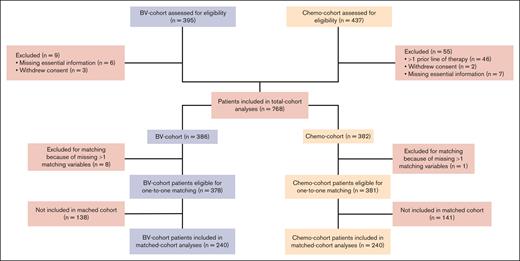 CONSORT diagram. Chemo-cohort, chemotherapy cohort; n, number of patients.