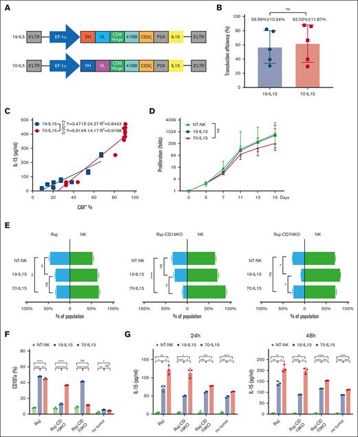 IL-15–expressing CAR NK cells exhibit robust antigen-specific cytotoxicity and IL-15 secretion against Raji cells. (A) Schematic representation of the lentiviral vectors encoding anti-CD70 CAR (70-IL-15) and anti-CD19 CAR (19-IL-15). (B) Percentage transduced NK cells expressing anti-CD70 CAR or anti-CD19 CAR 2 days after transduction (n = 5). Data show mean ± standard deviation (SD), representative of 3 independent experiments. (C) Correlation analysis between IL-15 production and percentage of CAR+ NK cells, 48 hours after anti-CD70 CAR or anti-CD19 CAR lentiviral transduction. Simple line regression was used to fit the correlation between IL-15 concentration and the percentage of CAR+ cells. (D) Proliferation of anti-CD70 CAR, anti-CD19 CAR NK cells, or non-NT-NK cells after stimulation with irradiated K562-mbIL21-mb41BBL feeder cells for 15 days. Data were representative of mean ± SD; n = 5. (E) Flow cytometry–based cytotoxicity assay of indicated CAR NK cells against Raji, CD19 KO Raji, or CD70 KO Raji. Bars in green indicate the percentage of NT-NK or CAR NK cells, and bars in blue indicate target tumor cells in the cocultured system. Data were representative of mean ± SD of 3 independent experiments; ∗P < .05, ∗∗P < .01, ∗∗∗P < .001, and ∗∗∗∗P < .0001. Two-way analysis of variance (ANOVA) and Tukey tests were used for P values. (F) The indicated Raji lymphoma cells were cocultured with the indicated CAR-transduced NK cells at a ratio of 1:1 for 5 hours, respectively, and then the percentage of CD107a+ cells in each group were detected by flow cytometry. ∗∗P < .01, ∗∗∗P < .001, and ∗∗∗∗P < .0001. P values were determined by 1-way ANOVA test. (G) Enzyme-linked immunosorbent assay detection of IL-15 in the supernatants after the indicated Raji cells were cocultured with the indicated CAR-transduced NK cells at a ratio of 1:2 for 24 hours or 48 hours. Data show mean ± SD, and P values were calculated by 1-way ANOVA and Tukey test; ∗∗P < .01, ∗∗∗P < .001, and ∗∗∗∗P < .0001. ns, no significance.