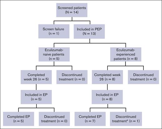 Patient disposition. ∗Discontinued treatment to undergo bone marrow transplantation.