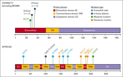 Spectrum of TNFRSF17 and GPRC5D mutations identified in post-TCE MM relapses. Somatic mutations identified in 2 studies13,14 are indicated on the protein structure. Extracellular, transmembrane, and cytoplasmic domains are annotated with a color code. TNFRSF17 mutations define hotspots in the extracellular domain and impact a single amino acid. By contrast, GPRC5D mutations are truncating and distributed all along the protein sequence.