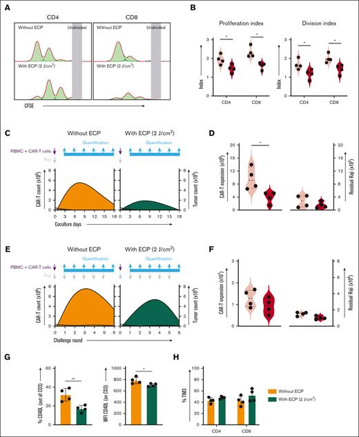 Effect of ECP therapy on proliferation and long-term cytotoxicity of CAR-T cells in the D model (stimulation by Raji cells). (A) Representative histogram of proliferation of CD4+ and CD8+CAR-T cells with or without ECP therapy after 3 day stimulation by irradiated tumor cells. (B) Statistical analysis of proliferation of CD4+ and CD8+CAR-T cells with or without ECP therapy. (C) The influence of ECP on the expansion of CAR-T cells in a long-term culture assay. The dark curves display the dynamic of tumor cells and the orange and green curves indicate the dynamic of CAR-T cells. The purple arrow represents CAR-T cells and PBMCs in the coculture killing assay, whereas the gray arrow represents tumor cells, which were added once, initially. In addition, the blue arrows represent the quantification of cells in the coculture system every 3 days. (D) The expansion peak of CD3+CAR-T cells (left panel) and the residual tumor cells on the last day of coculture (right panel) in the long-term culture assay. (E) The effect of ECP on the serial killing capacity of CAR-T cells in a challenging assay. The dark curves display the dynamic of tumor cells and the orange and green curves indicate the dynamic of CAR-T cells. The purple arrow represents CAR-T cells and PBMCs in the coculture killing assay, whereas the gray arrow represents tumor cells, which were added in each round. In addition, the blue arrows represent the quantification of cells in the coculture system in every round. (F) The expansion peak of CD3+CAR-T cells (left panel) and the residual tumor cells on the last day of coculture (right panel) in the challenging assay. (G) The effect of ECP therapy on costimulatory marker CD40L expression with or without ECP treatment after 24 hour stimulation with CD19+Raji cells: the frequency of CD40L+CD3+CAR-T cells (left panel) and the density of CD40L expression on CD3+CAR-T cells (right panel). (H) The effect of ECP on expression of the exhaustion marker TIM3 in CD4+ and CD8+CAR-T cells. Samples of 4 individual donors were tested. A 2-tailed t test was used for statistical analysis. ∗P < .05; ∗∗P < .01.