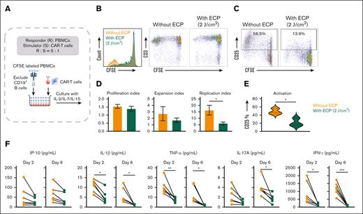 Effect of ECP therapy on alloreactive T cells. (A) Schematic diagram of the in vitro alloreaction model. (B) Representative histogram and dot plot of proliferation of responder cells in the alloreaction model. (C) Representative dot plot of activation status of responder cells in the alloreaction model. (D) Statistical analysis of proliferation of responder cells. (E) Statistical analysis of activation of responder cells. Samples of 3 individual donors were tested for proliferation and activation assays. (F) Cytokine profile in the supernatant of alloreaction model over time. CAR-T cells with and without ECP as stimulatory cells derived from 2 individual donors were used to stimulate allo-PBMCs derived from another 3 HLA-A2 mismatched donors. ∗P < .05; ∗∗P < .01; ∗∗∗P < .001.