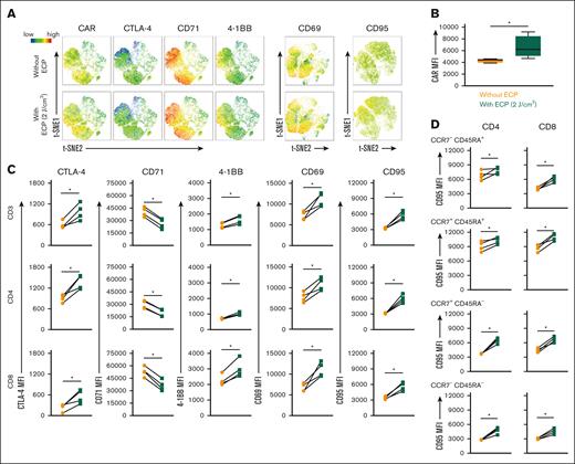 Effect of ECP therapy on surface protein expression of CAR-T cells. (A) Surface markers expression intensity in t-SNE plot. (B) MFI of CAR expression on CAR-T cells with/without ECP treatment. (C) Effect of ECP therapy on the expression intensity of surface markers on CAR-T cells. (D) Effect of ECP therapy on the expression intensity of CD95 on effector (CCR7-CD45RA+), naive (CCR7+CD45RA+), central memory (CCR7+CD45RA-), and effector memory (CCR7-CD45RA-) of CD4+ and CD8+CAR-T cells. Samples of 4 individual donors were tested. ∗P < .05.