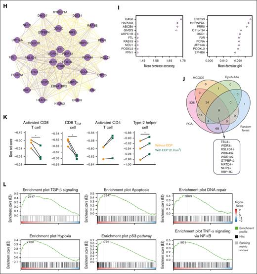 Effect of ECP therapy on CAR-T cells at the transcriptional level. (A) PCA of transcriptomes of ECP-treated or untreated CAR-T cells after 16 hour culture, in which Fragments Per Kilobase Million (FPKM) value was used as the input data for each gene in different samples. (B) Volcano map of DEGs between ECP-treated and untreated groups. DEGs were defined as |Log2FC| ≥ 1 and Q value ≤0.05. (C) KEGG pathway analysis of DEGs showing the top 10 enriched pathways. The color indicates the Q value, and the size of nodes was scaled by the gene number. (D) Gene ontology enrichment analysis of DEGs showing the top 10 enriched gene ontology terms in biological process. (E) Classification of enriched KEGG pathways in cellular processes, environmental information processing, genetic information processing, and metabolism. (F) Network analysis of enriched biological process of gene ontology. The size of nodes is scaled by the gene number. (G) Protein-protein interaction network analysis of DEGs by Cytohubba. The top 50 DEGs were colored by yellow and red, whereas the neighbors were colored by purple. (H) Protein-protein interaction network analysis of DEGs by molecular complex detection. (I) Prioritization of DEGs by random forest analysis. The DEGs were ranked by mean decrease in accuracy and mean decrease in Gini. (J) Identification of hub genes by combination of 4 different algorithms. The Venn plot illustrates the number of overlap genes in all different combinations of analyses, including PCA, Cytohubba, molecular complex detection, and random forest analysis. (K) Gene signature sets for immunophenotypes assessed by single sample gene set enrichment analysis. A 2-tailed t test was used for statistical analysis. ∗P < .05. (L) Gene set enrichment analysis of ECP-treated and untreated CAR-T cells. On the x-axis, gene sets are represented by vertical black lines, whereas the enrichment score (ES) is plotted on the y-axis. Points representing genes and their corresponding ES are connected by a green line. The colored band at the bottom indicates the correlation of genes with the ECP treatment, with red indicating a positive correlation and blue indicating a negative correlation. The significance threshold is set at false discovery rate of <0.05. The color code represents the signal to noise. Samples of 3 individual donors were tested.