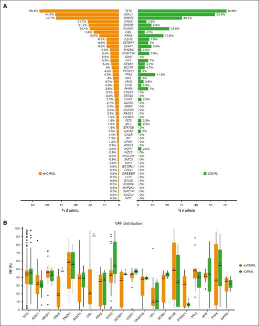 Mutations in patients with dnCMML and tCMML. (A) Frequency of each mutation in dnCMML and tCMML. (B) VAF for each of the most frequently mutated genes in dnCMML and tCMML.