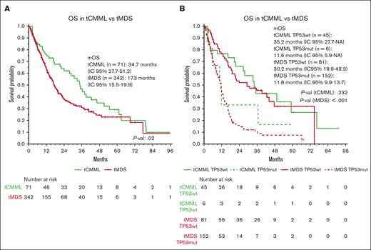 Survival analysis comparing tCMML and tMDS. (A) OS of patients with tCMML and tMDS. (B) OS of patients with tCMML and tMDS according to TP53 mutation status.