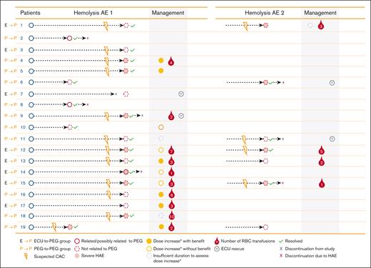 Management of hemolysis AEs in PEGASUS.∗If a patient did not respond adequately to the twice-weekly dose of pegcetacoplan (LDH levels ≥2× ULN), dosing could be increased to 1080 mg every 3 days according to the prescribing information.13 CAC, complement-amplifying condition; ECU, eculizumab; HAE, hemolysis adverse event; PEG, pegcetacoplan; RBC, red blood cell.