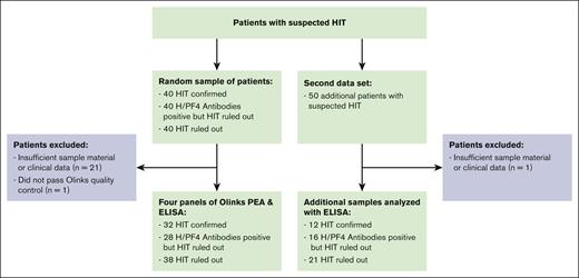 Flowchart of the patients (primary and second data sets).