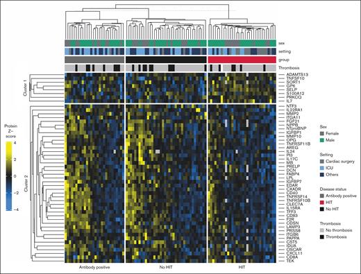 Clustered heat map illustrating the z scores of the 50 most significant proteins, stratified by HIT status (group). The following additional information is shown: sex, setting, and presence of thrombosis. ICU, intensive care unit.