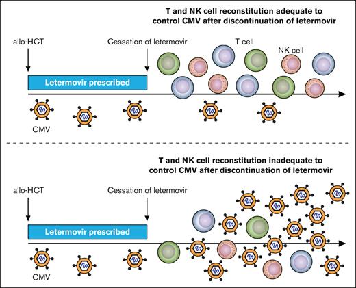 Immune milestones associated with control of clinically significant CMV reactivation. Over time (x-axis) allo-HSCT recipients before day +100 had control of clinically significant CMV infection while on letermovir (blue bar). After discontinuation of letermovir prophylaxis on day +100 those with clinically significant CMV infection (virus level depicted as above the level of detection) had lower CD4+ (purple) and CD8+ (green) CMV–specific T cells and lower memory-like NK cells (pink).
