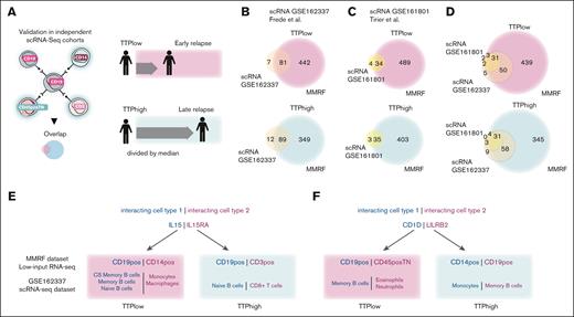 Validation of prognostically relevant cell-cell interactions in independent single-cell sequencing cohorts. (A) Diagram. (B-D) Venn diagrams showing overlap between interactions identified in TTPlow/TTPhigh patients of our cohort with published cohorts using single-cell RNA-seq. (E-F) Examples of dual interactions that were detected with statistically significance in our cohort and published cohorts using single-cell RNA-seq. CS Memory B cells, class-switched memory B cells.