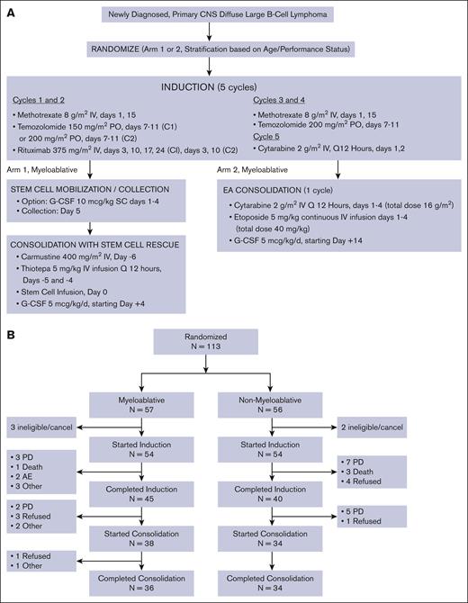 Study design and CONSORT diagram.