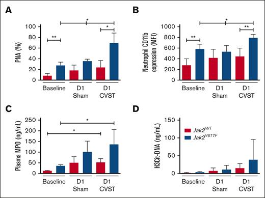 Increased formation of PNAs in Jak2V617F mice. (A) Circulating PNAs and (B) neutrophil CD11b expression are measured in Jak2WT and Jak2V617F mice at baseline, and at day 1 in sham-operated and CVST mice. (C) MPO and (D) H3Cit-DNA plasma levels are measured in the same conditions. PNAs were calculated from Ly6G-positive events as the percentage of neutrophils. Results are expressed as mean ± SD, n = 5 to 6 per group. Data were analyzed by Kruskal-Wallis test followed by post hoc Dunn test. ∗P < .05; ∗∗P < .01. D1, day 1.