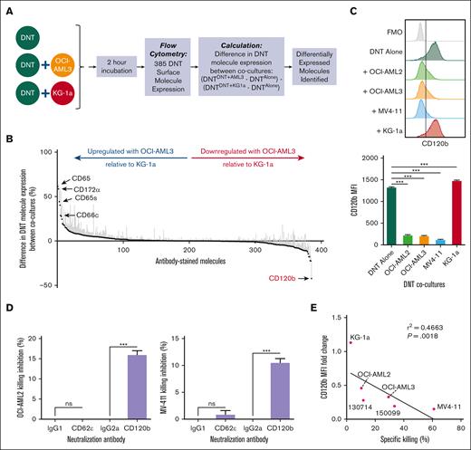 Flow cytometry–based HTS assay identifies the involvement of CD120b/TNFR pathway in DNT-mediated cytotoxicity. (A) Schematic of the flow cytometry–based HTS assay using DNT-resistant (KG-1a) and -susceptible (OCI-AML3) AML cell lines. (B) DNTs alone or cocultured with OCI-AML3 or KG-1a in 96-well plates were stained with 385 fluorophore-conjugated antibodies. Molecule expression on DNTs (CD3+CD33–CD34–) cocultured with OCI-AML3 (CD3–CD33+CD34–) or KG-1a (CD3–CD33–CD34+) relative to DNT alone was determined. From left to right, the graph shows molecules that are upregulated or downregulated on DNTs during the interaction with OCI-AML3, relative to DNT-KG-1a interactions. The experiment was performed with 3 biological replicates, and the data were pooled together. (C) DNTs stained for CD120b after a 2-hour coculture with DNT-resistant (KG-1a) or -susceptible (OCI-AML2, OCI-AML3, and MV4-11) AML cell lines. A representative histogram (left) and corresponding median fluorescence intensity (MFI) values (right) of CD120b expression are shown. Experiments were done in triplicates. The data shown are representative of 3 independent experiments. (D) DNTs were cocultured with DNT-susceptible AML cell lines, OCI-AML2 (top) or MV4-11 (bottom), for 24 hours in the presence of anti-CD62ε or anti-CD120b neutralizing antibody or corresponding isotype controls. Experiments were done in triplicates. The data shown are representative of 2 independent experiments. (E) Linear regression analysis performed between the MFI fold change in CD120b expression on DNTs cocultured with AML cells relative to DNT alone and the percentage specific killing of AML cell lines and primary AML samples by DNTs. AML cells and DNTs were coincubated for 2 hours. Each symbol represents an AML cell line or primary AML sample. Numbers represent the ID of patients with AML. Experiments were done in triplicates, and the data shown are representative of 2 independent experiments. Student t test, 1-way analysis of variance (ANOVA), and linear regression analysis were used. ∗∗∗P < .001. ns, nonsignificant.