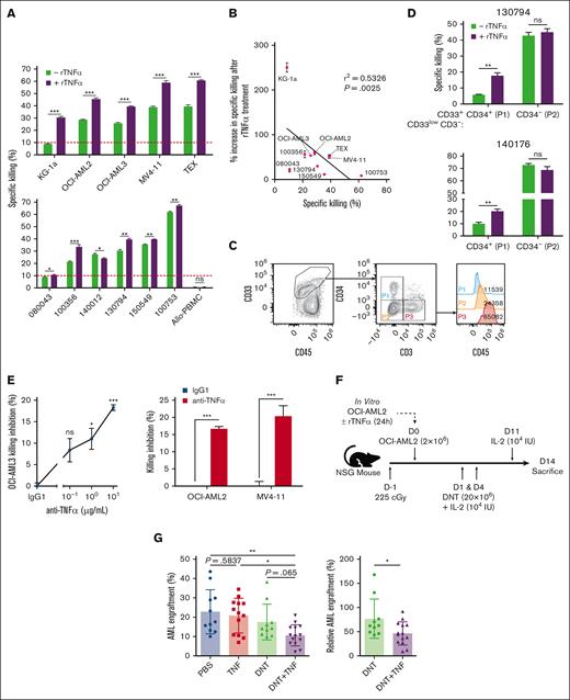 TNFα sensitizes AML cells to the antileukemic activity of DNTs. (A-B) AML cell lines (top), primary AML blasts, and allogeneic PBMCs (bottom) were pretreated with or without rTNFα, washed with phosphate-buffered saline (PBS), then cocultured with DNTs for 2 to 4 hours. Percentage specific killing of AML cells are shown with a red line indicating the 10% specific killing as resistance threshold (A). Linear regression analysis performed between percentage specific killing and the relative percentage increase in specific killing of rTNFα-sensitized AML (B). Each symbol represents an AML cell line or primary AML sample. Experiments were done in triplicates and were performed with at least 2 DNT donors. Numbers represent the ID of patients with AML. (C-D) Primary AML samples (130794 and 140176) were treated with or without rTNFα, washed with PBS, then cocultured with DNTs. Gating strategy (C) and percentage specific killing of rTNFα-treated and nontreated groups of the primary AML samples gated on specified leukemic blast populations in triplicates are shown (D). (E) DNTs were cocultured with AML cell lines for 24 hours, in the presence of increasing (for OCI-AML3) or fixed (for OCI-AML2 and MV4-11, 10 μg/mL) concentration of anti-TNFα blocking antibody or isotype control antibody. The graphs shown are representative of 2 independent experiments. (F-G) Sublethally irradiated (225 cGy) NSG mice were IV injected with OCI-AML2 untreated or treated with rTNFα, followed by 2 infusions of DNTs or PBS. Schematic of the in vivo xenograft mouse model with treatment schedule (F). Bar graphs represent the mean AML bone marrow engraftment levels (left) and engraftment levels normalized to the PBS group (right) (G). Each symbol represents an individual mouse. Data represent the mean ± standard deviation (SD) and pooled from 3 independent experiments (n = 3-5 per group). Student t test, 1-way/2-way ANOVA, and linear regression analysis were used. ∗P < .05; ∗∗P < .01; ∗∗∗P < .001; ns, nonsignificant.