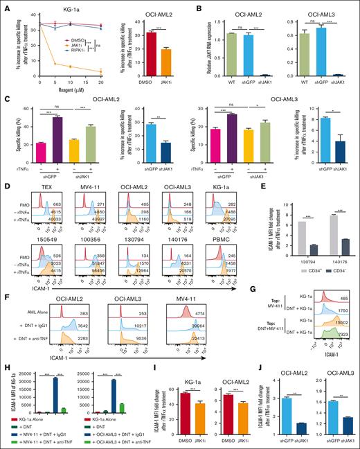 TNFα signals through JAK1 to upregulate ICAM-1. (A) KG-1a and OCI-AML2 cells were exposed to increasing or fixed (40 μM) concentrations of RIPK1 inhibitor, JAK1 inhibitor, or dimethyl sulfoxide (DMSO) for 24 hours, followed by rTNFα treatment. AML were then cocultured with DNTs for 24 hours (for KG-1a) or 2 hours (for OCI-AML2). Percentage increase in specific killing after rTNFα pretreatment was determined. The data shown are representative of 2 independent experiments. (B-C) WT OCI-AML2 and OCI-AML3 cells were untreated or transduced with shRNAs against JAK1 (shJAK1) or GFP (shGFP). RNA expression of JAK1 was normalized to HPRT housekeeping gene (B). Transduced AML cells were pretreated with or without rTNFα, washed with PBS, then cocultured with DNTs for 2 hours. Specific killing (left) and percentage increase in specific killing (right) after rTNFα pretreatment are shown (C). (D) AML cell lines (top), primary AML samples with patient IDs, and healthy PBMCs (bottom) were untreated (blue) or treated (orange) with rTNFα. Representative histograms of ICAM-1 expression with MFI values including fluorescence-minus-one (FMO) control (red) are shown. (E) CD33+CD45lowCD3−CD34+ (CD34+) and CD33+CD45lowCD3−CD34− (CD34−) primary AML blasts from 2 patients were treated with rTNFα. The ICAM-1 MFI fold change is shown. (F) ICAM-1 expression with MFI values of AML cell lines cocultured with or without DNTs for 24 hours in the presence of anti-TNFα or isotype control. The data shown are representative of 2 independent experiments. (G) MV4-11 and KG-1a were cocultured with or without DNTs in separate compartments of the transwell from Figure 4B. Representative histograms of ICAM-1 expression on KG-1a with MFI values after 2 days is shown. (H) KG-1a cells were alone or were incubated with MV4-11 or OCI-AML3 and DNTs in the presence of anti-TNFα blocking antibody or isotype control for 24 hours. ICAM-1 expression on live KG-1a cells was determined. The data are representative of 2 independent experiments. (I) KG-1a and OCI-AML2 were treated with JAK1 inhibitor or DMSO for 24 hours, followed by stimulation with or without rTNFα and stained for ICAM-1. The MFI fold change of ICAM-1 expression from rTNFα-treated AML cells relative to untreated AML cells is shown and compared between vehicle and JAK1 inhibitor conditions. The data displayed are 2 pooled independent experiments. (J) JAK1 knockdown (shJAK1) or control (shGFP) AML cells were untreated or treated with rTNFα (100 ηg/mL), then stained with anti–ICAM-1 antibody. The MFI fold change of ICAM-1 expression from rTNFα-treated AML cells relative to untreated AML cells is shown and compared between control and JAK1 knockdown conditions. The data shown are representative of 2 independent experiments. Student t test and 1-way/2-way ANOVA were used. ∗P < .05; ∗∗P < .01; ∗∗∗P < .001. ns, nonsignificant; shRNA, short hairpin RNA.