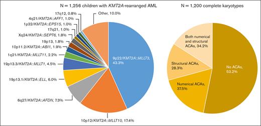 Distribution of the fusion-based groups and the presence and type of ACAs in our cohort of childhood KMT2A-r AML. 9p22/KMT2A::MLLT3 refers to t(9;11)(p22;q23) (n = 544), 10p12/KMT2A::MLLT10 to t(10;11)(p12;q23) (n = 218), 6q27/KMT2A::AFDN to t(6;11)(q27;q23) (n = 92), 19p13.1/KMT2A::ELL to t(11;19)(q23;p13.1) (n = 75), 19p13.3/KMT2A::MLLT1 to t(11;19)(q23;p13.3) (n = 56), 1q21/KMT2A::MLLT11 to t(1;11)(q21;q23) (n = 28), 10p11.2/KMT2A::ABI1 to t(10;11)(p11.2;q23) (n = 24), 19p13 to t(11;19)(q23;p13) without ascertained subband (n = 23), Xq24/KMT2A::SEPT6 to t(X;11)(q24;q23) (n = 22), 17q21 to t(11;17)(q23;q21) (n = 13), 1p32/KMT2A::EPS15 to t(1;11)(p32;q23) (n = 13), 4q21/KMT2A::AFF1 to t(4;11)(q21;q23) (n = 12), and 17q12 to t(11;17)(q23;q12) (n = 10). Of the 1200 patients with complete karyotypes, 638 had no ACAs and 562 had ACAs, of whom 211 had solely numerical ACAs, 159 solely structural aberrations, and 192 both numerical and structural ACAs. Figure created with BioRender.com.