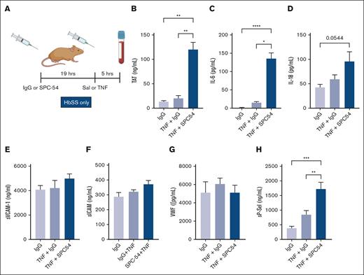 Inhibition of endogenous APC by SPC54 exacerbates thromboinflammation in HbSS mice after TNF-α challenge. (A) Male and female HbSS mice were treated with IgG or SPC-54 (10 mg/kg, IP) 19 hours before SAL or TNF-α (2 μg/kg, IP) and plasma was collected 5 hours later. Plasma levels of TAT (B), IL-6 (C), IL-18 (D), sVCAM1 (E), sICAM (F), VWF (G), and sP-sel (H). Data represent mean ± SEM mean of 5 to 10 mice per group. Asterisks above brackets indicate statistical significance by 1-way ANOVA with Kruskal-Wallis posttest. ∗P < .05; ∗∗∗P < .001; ∗∗∗∗P < .0001. Sal, saline.