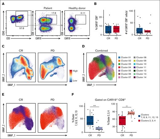Differentially abundant CD8+ CAR+ T-cell clusters in CR and PD cohorts. PBMCs from the day-14 post-CAR-T time point were analyzed via spectral flow cytometry. (A) Representative 2-dimensional flow cytometry plot showing gating strategy for CAR19+ CD8+ CAR-Ts. Healthy donor samples were used as negative controls. Percentages of CD3+ T cells as well as CAR19+ CD8+ T cells are indicated. (B) Box plot of CAR19+ CD8+ cells as a percent of live CD45+ CD3+ lymphocytes in CR vs PD cohorts (left); absolute number of CAR19+ CD8+ lymphocytes in CR vs PD cohorts (right). (C) Contour UMAP plots of CAR19+ CD8+ T cells in CR vs PD cohorts. (D) UMAP dot plot of CAR19+ CD8+ T cells from the total cohort (n = 26). (E) UMAP of CAR19+ CD8+ T cells in CR vs PD cohorts with clusters increased in CR colored blue (clusters 7, 8, 9, 11, 12, and 13) and clusters increased in PD colored red (clusters 2, 3, and 4). (F) Box plots showing combined clusters percentages of CAR19+ CD8+ cells. Combined clusters 7, 8, 9, 11, 12, and 13 in CR vs PD (left). Combined clusters 2, 3, and 4 in CR vs PD (right). Box plots in panels B and F show quartiles with bands at the median; whiskers indicate 1.5 interquartile range; all observations overlaid as dots. P values are from linear regression analysis; ∗P < .05, ∗∗P < .01; ∗∗∗P < .001.