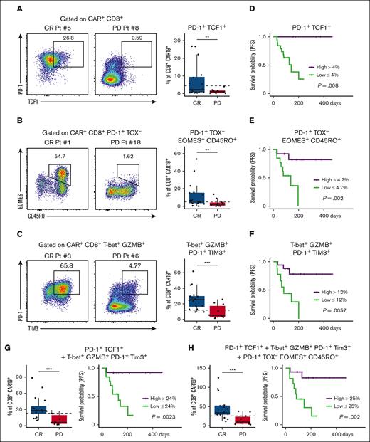 Key postinfusion PD-1+ CAR+ CD8+ T-cell populations correlate with clinical outcomes. 2D flow plot analysis was performed on spectral flow cytometry data from day-14 post-CAR-T samples. (A) Representative 2D flow cytometry plots showing individual patient PD-1 and TCF1 expression in CAR+ CD8+ T cells and corresponding box plot quantification in CR vs PD cohorts. (B) Representative 2D flow cytometry plots showing individual patient EOMES and CD45RO expression in CAR+ CD8+ PD-1+ TOX− T cells and corresponding box plot quantification in CR vs PD cohorts. (C) Representative 2D flow cytometry plots showing individual patient PD-1 and TIM3 expression in CAR+ CD8+ T-bet+ GZMB+ T cells and corresponding box plot quantification in CR vs PD cohorts. (D, E, F) Kaplan-Meier (KM) analysis was used to generate PFS curves stratified by high vs low percent of CD8+ CAR-T populations. (D) KM analysis of PFS for patients with high (>4%) or low (<4%) percent of this cell type; high group, n = 6; low group, n = 20. (E) KM analysis of PFS for patients with high (>4.7%) or low (<4.7%) percent of this cell type; high group, n = 13; low group, n = 13. (F) KM analysis of PFS for patients with high (>12%) or low (<12%) percent of this cell type; high group, n = 17; low group, n = 9. (G) Box plot of the combination of PD-1+ TCF1+ cells and PD-1+ TIM3+ T-bet+ GZMB+ cells in CR vs PD (left). KM analysis of PFS for patients with high (>24%) or low (<24%) percent of this combination of cell types (right); high group, n = 13; low group, n = 13. (H) Box plot of the combination of PD-1+ TCF1+ cells, PD-1+ TOX− EOMES+ CD45RO+ cells, and PD-1+ TIM3+ T-bet+ GZMB+ cells in CR vs PD (left). KM analysis of PFS for patients with high (>25%) or low (<25%) percent of this combination of cell types (right); high group, n = 15; low group, n = 11. For all KM curves, the x-axis was time in days from date of CAR-T infusion. Dotted lines on box plots indicate separation lines between high and low percentages of CAR-Ts in each population and were selected based on optimal response separation between cohorts. Because clinical outcomes were known during patient stratification, P values need to be interpreted with caution. Box plots in panels A, B, and C show quartiles with bands at the median; whiskers indicate 1.5 interquartile range; all observations overlaid as dots. P values are from linear regression analysis (cell type % changes) and log-rank tests (PFS); ∗P < .05, ∗∗P < .01; ∗∗∗P < .001. Pt, patient.