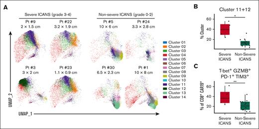 Higher quantities of PD1+ TIM3+ effector-like CD8+ CAR-Ts correlate with severe ICANS in CR. Patients who achieved CR (n = 16) were separated into a severe ICANS (grade 3-4) cohort (n = 4) and a no/nonsevere ICANS (grade 0-2) cohort (n = 12). (A) Day-14 postinfusion PBMCs were analyzed by spectral flow cytometry and dimensional reduction. Individual patient UMAPs of CAR+ CD8+ T-cell clusters in ICANS (left) vs no/nonsevere ICANS cohorts (right) are shown, colored by cluster. Largest cross sectional tumor diameter before CAR-T infusion is listed underneath patient identifying numbers. Box plots in panels B and C compare characteristics in severe ICANS vs no/nonsevere ICANS cohorts. (B) Combined clusters 11 and 12, reported as a percent of CAR+ CD8+ T cells. (C) PD-1+ TIM3+ T-bet+ GZMB+ cells quantified by 2D flow analysis, reported as a percentage of CAR+ CD8+ cells. Box plots show quartiles with bands at the median; whiskers indicate 1.5 interquartile range; all observations overlaid as dots. P values are from linear regression analysis; ∗P < .05, ∗∗P < .01; ∗∗∗P < .001. Pt, Patient.