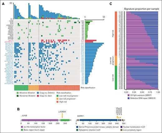 Landscape of most recurrent genomic alterations in MF. (A) Landscape of genomic alterations in 67 tumor samples of MF divided into LR and HR disease based on the TNMB stages. Alterations are divided into SNVs and SCNAs. (B) Driver oncogene maps of JUNB and MAPK1. (C) Relative enrichment of signature activities per samples divided into LR, LR progressors, and HR.