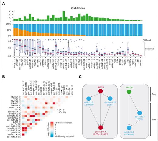 Clonal heterogeneity and inferred timing of genetic drivers. (A) Proportion in which recurrent drivers are found as clonal or subclonal across the 67 samples (top), along with the individual CCF values for each sample affected by a driver (bottom). Median CCF values are shown (bottom, bars represent the median and interquartile range for each driver). (B) Correlation matrix for the most recurrent genomic alterations for the 48 patients with MF, with Fisher exact test to detect such significant pair of mutations. (C) Timing of genomic alterations with early events at top and late events at bottom. Color indicates alteration types. Arrows between 2 alterations were drawn when 2 drivers were found in 1 sample with an excess of clonal to subclonal events. Dashed arrows indicate 1 clonal-subclonal pair and solid arrows indicate ≥2 clonal-subclonal pairs.