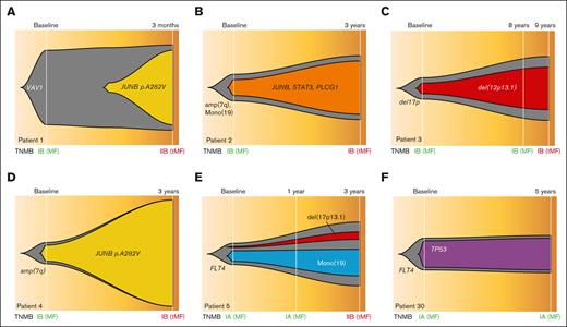 Clonal evolution of sequential samples. (A-E) Fish plots of 5 serial cases of MF with samples at LR stages who progressed to HR stages. (F) One serial case with both time points at LR stage because the patient did not progress. TNMB classification has been indicated (green for LR and dark red for HR samples). tMF, transformed MF.