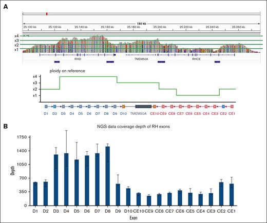 Genome structural variation analysis of the proband. (A) ONT read coverage in the RH gene region of the D-- proband. (B) NGS read coverage in the RH exon region of the D-- proband.